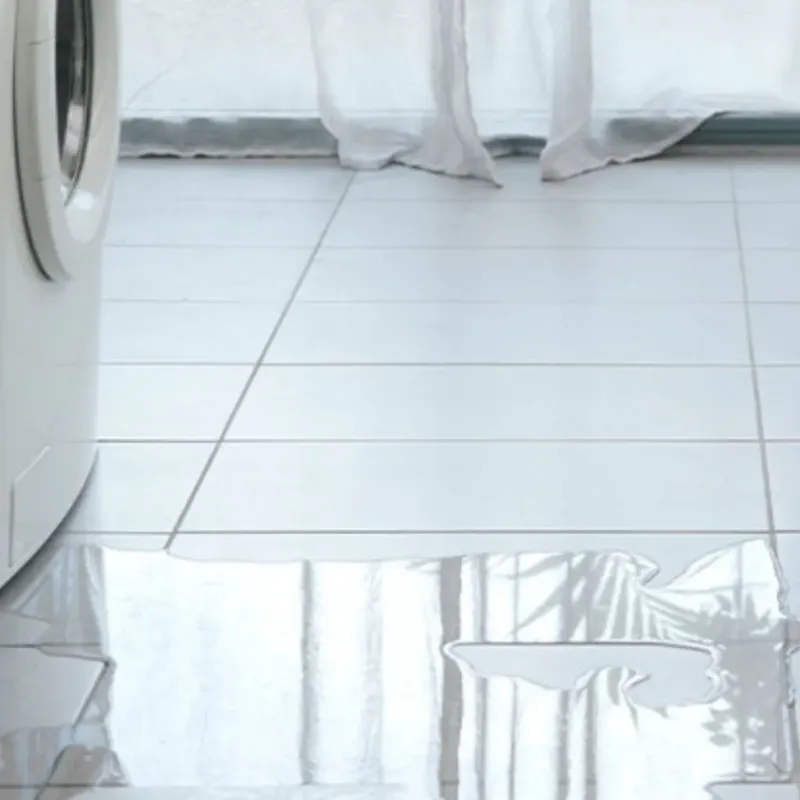 Appliance Leak Cleanup in Black River Falls, WI