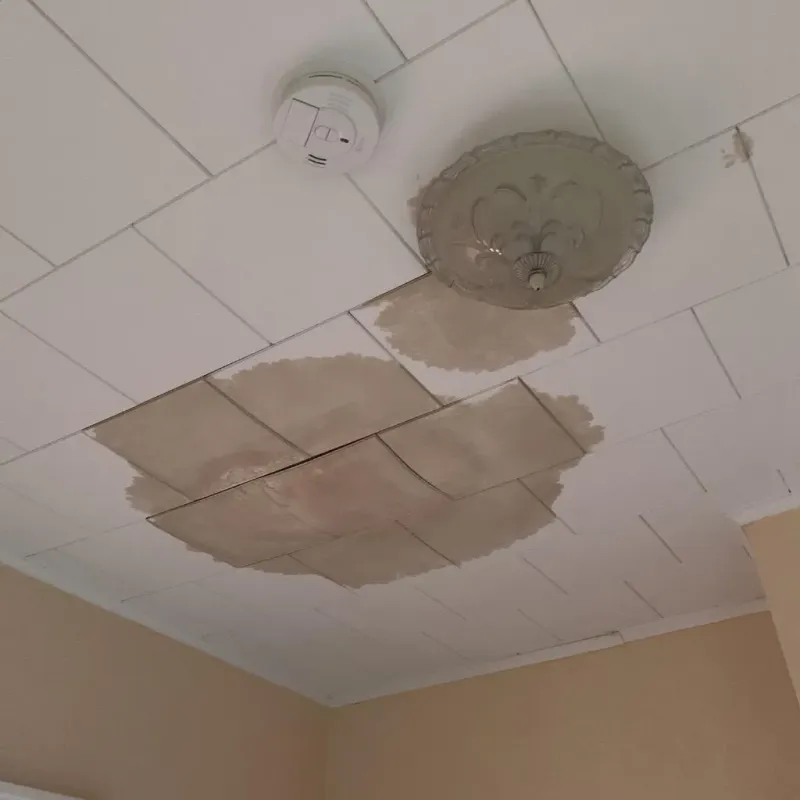 Ceiling Water Damage Repair in Black River Falls, WI