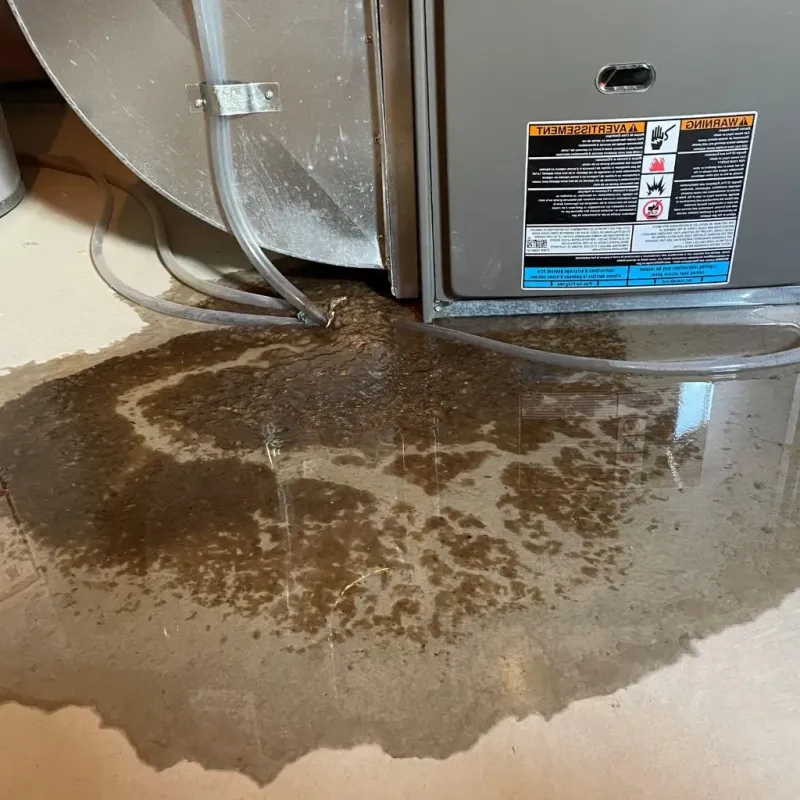 Pipe Burst and Leak Restoration in Black River Falls, WI