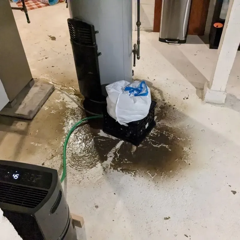 Sewage Backup Cleanup Service in Black River Falls, WI